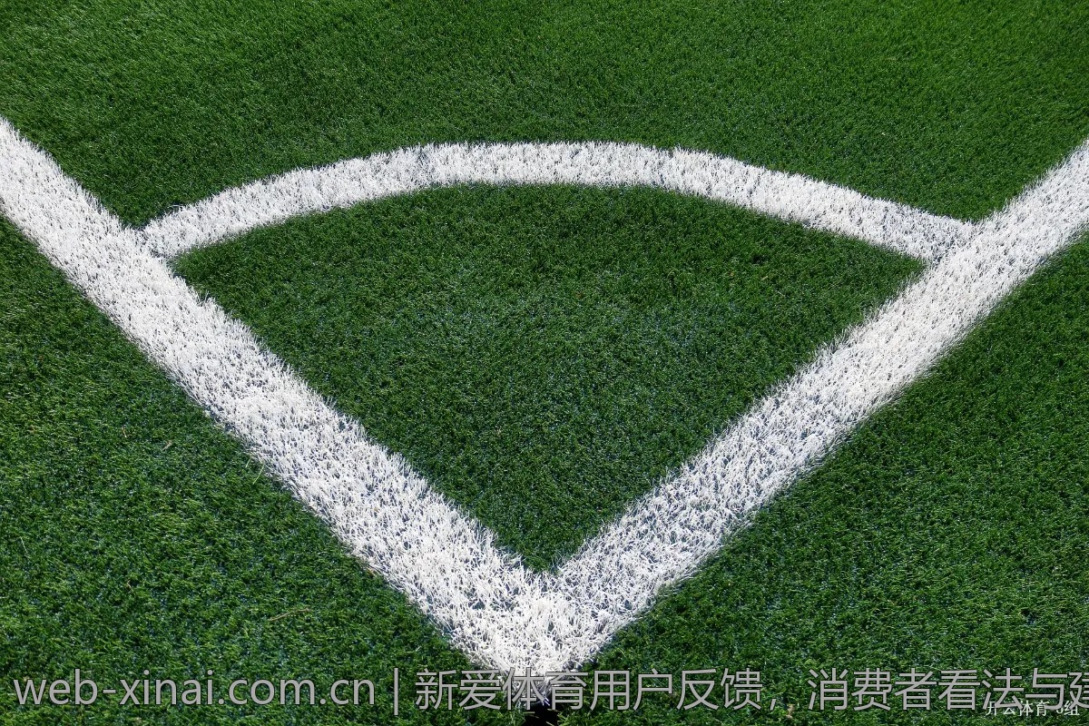 新爱体育用户反馈，消费者看法与建议汇总