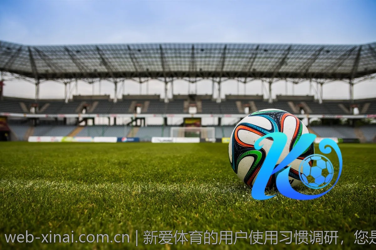 新爱体育的用户使用习惯调研，您是哪个类型？