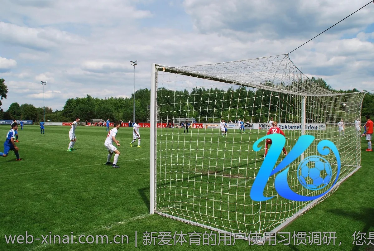 新爱体育的用户使用习惯调研，您是哪个类型？